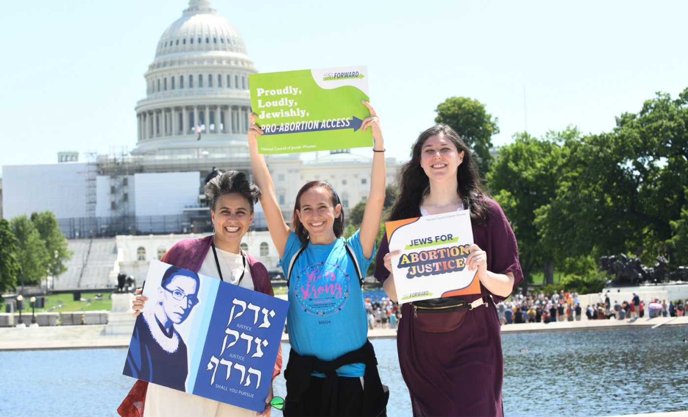 National Council Of Jewish Women New Web Header National Council Of